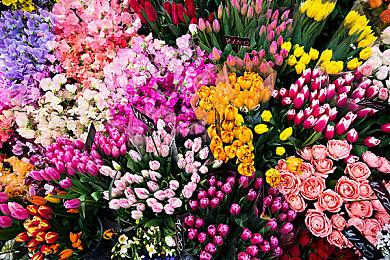 《Nyaz》Steam页面上线 猫咪组团3D迷宫探索