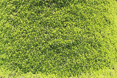 陶德称《星空》星球生存原本艰难：我们故意弄简单了